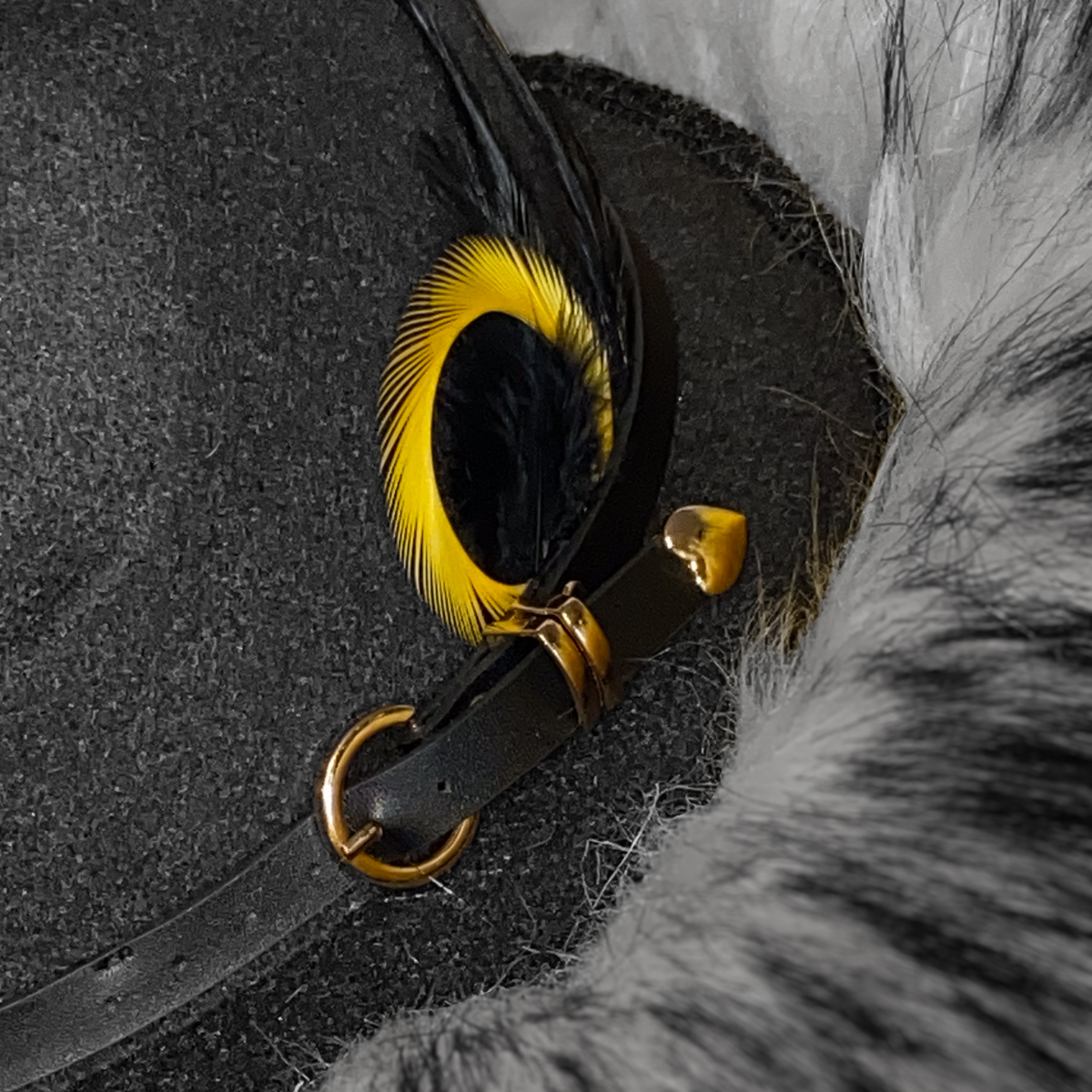 Busy Bumble Bee Fur Fedora - Image 6